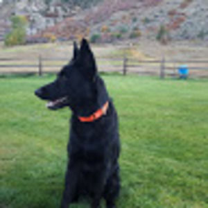 Meet your Posher, Jordan